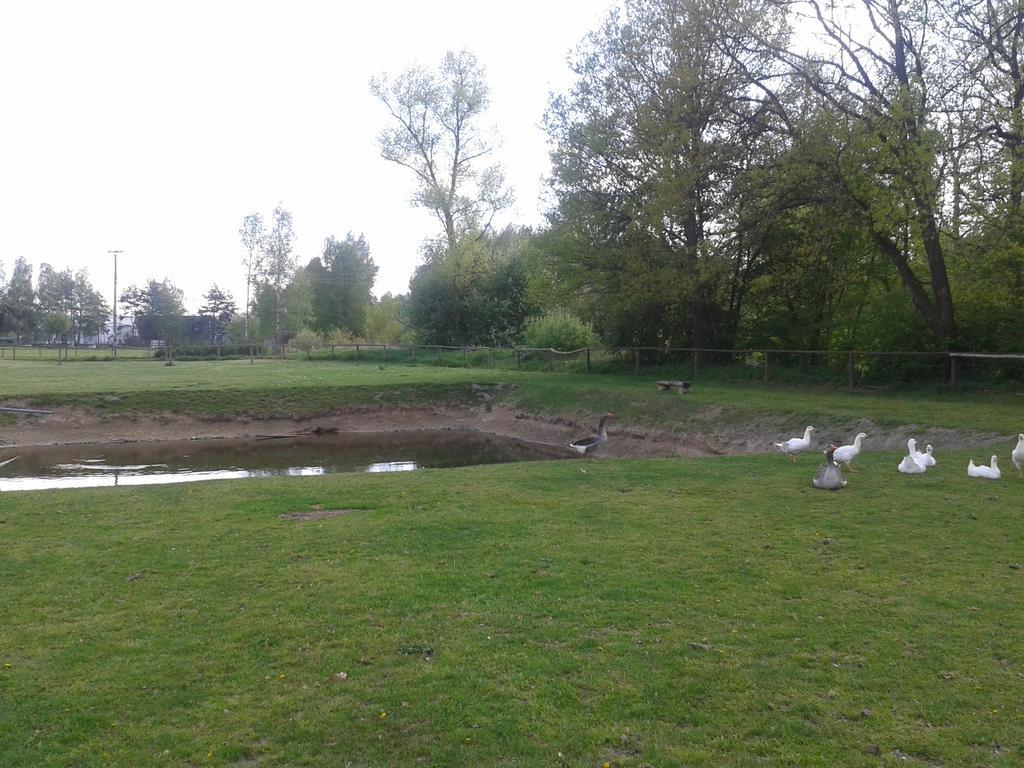 Chata Zahrada Madeta Veselí nad Lužnicí Exteriér fotografie