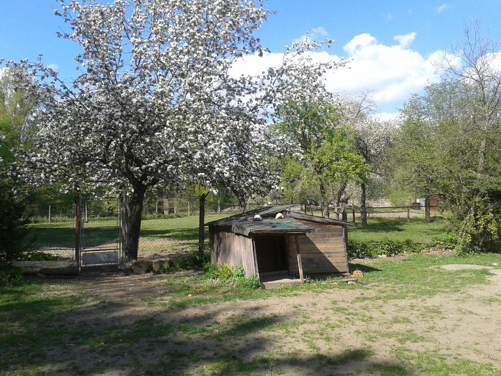 Chata Zahrada Madeta Veselí nad Lužnicí Exteriér fotografie