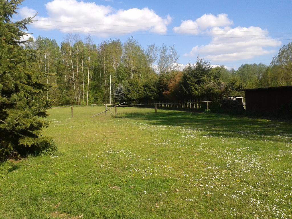 Chata Zahrada Madeta Veselí nad Lužnicí Exteriér fotografie