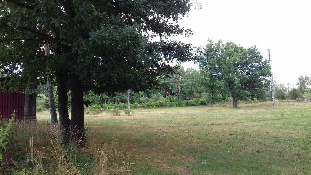 Chata Zahrada Madeta Veselí nad Lužnicí Exteriér fotografie