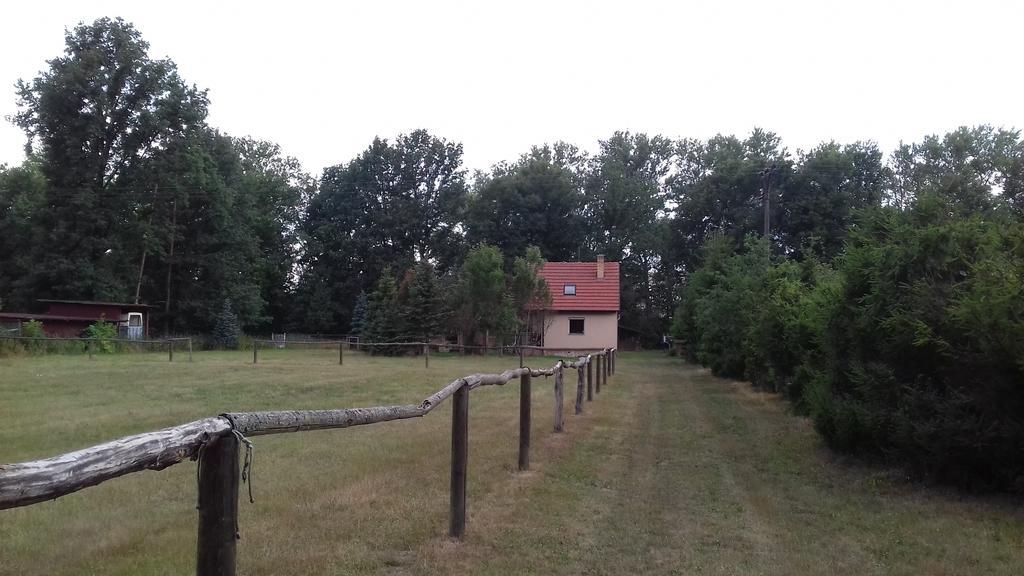 Chata Zahrada Madeta Veselí nad Lužnicí Exteriér fotografie